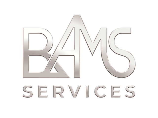 BAMS Services